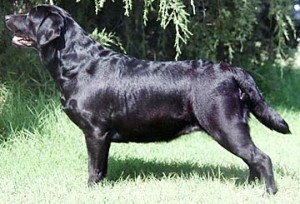 22 months - photo by Susan Raney