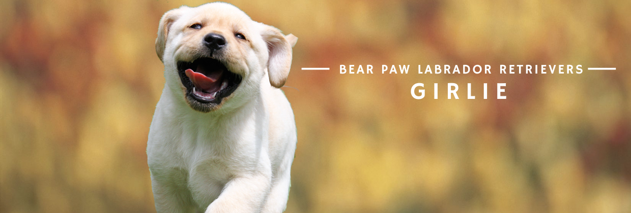 Bear Paw - Girlie Bear Paw - Girlie